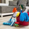 Ev Temizliği